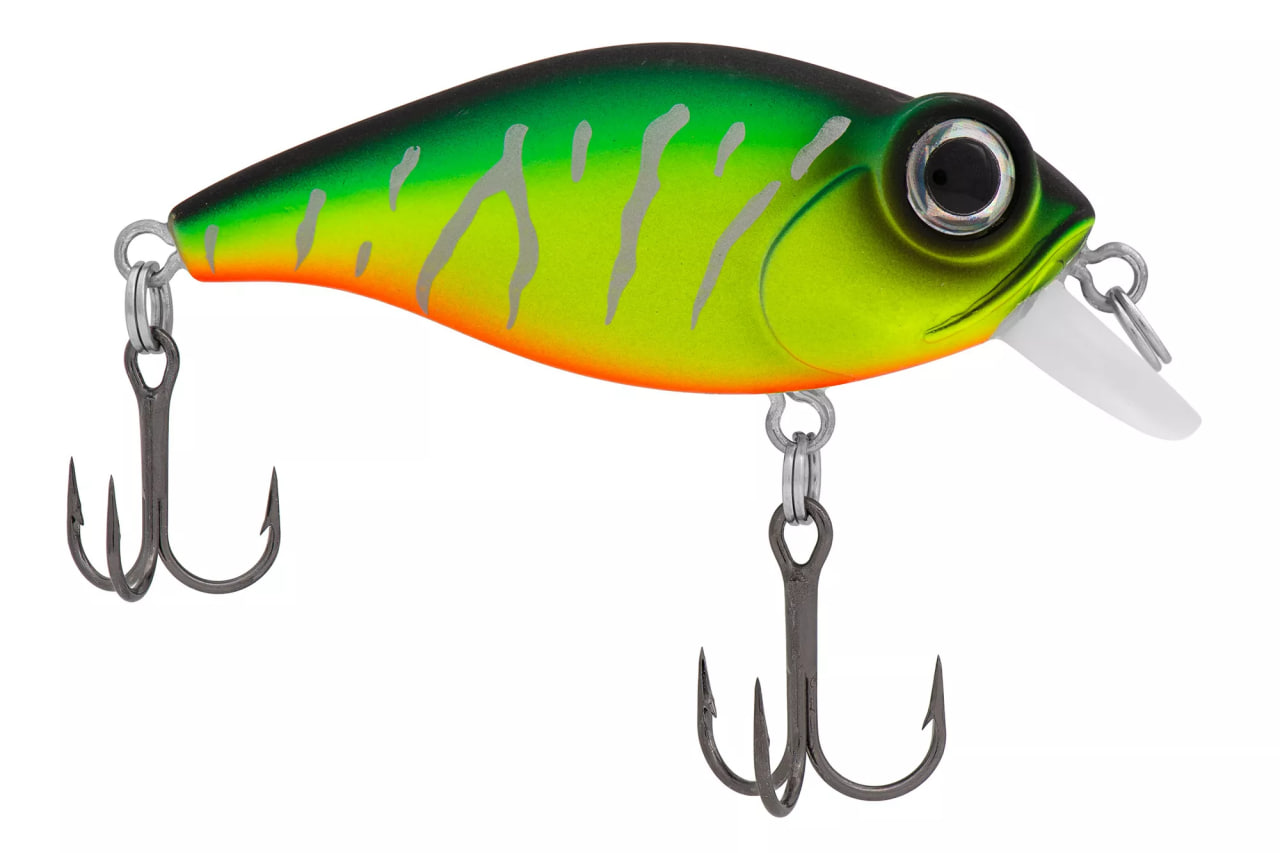 BUG Minnow 