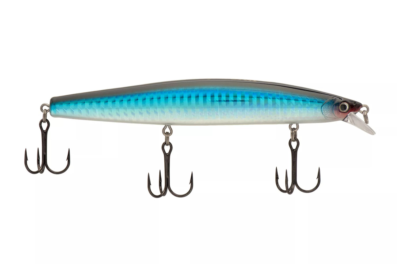 SPOTLIGHT Minnow