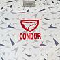 Фото палатка куб "condor" зимняя утепленная 6 сторон, 3,6 х 3,2 х 2,2  белый камуфляж